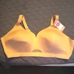 Cacique Tan Bra NWT